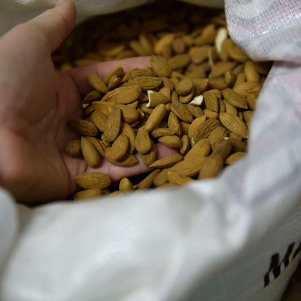 Les Croquettes de Vinsobres